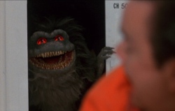 critters41